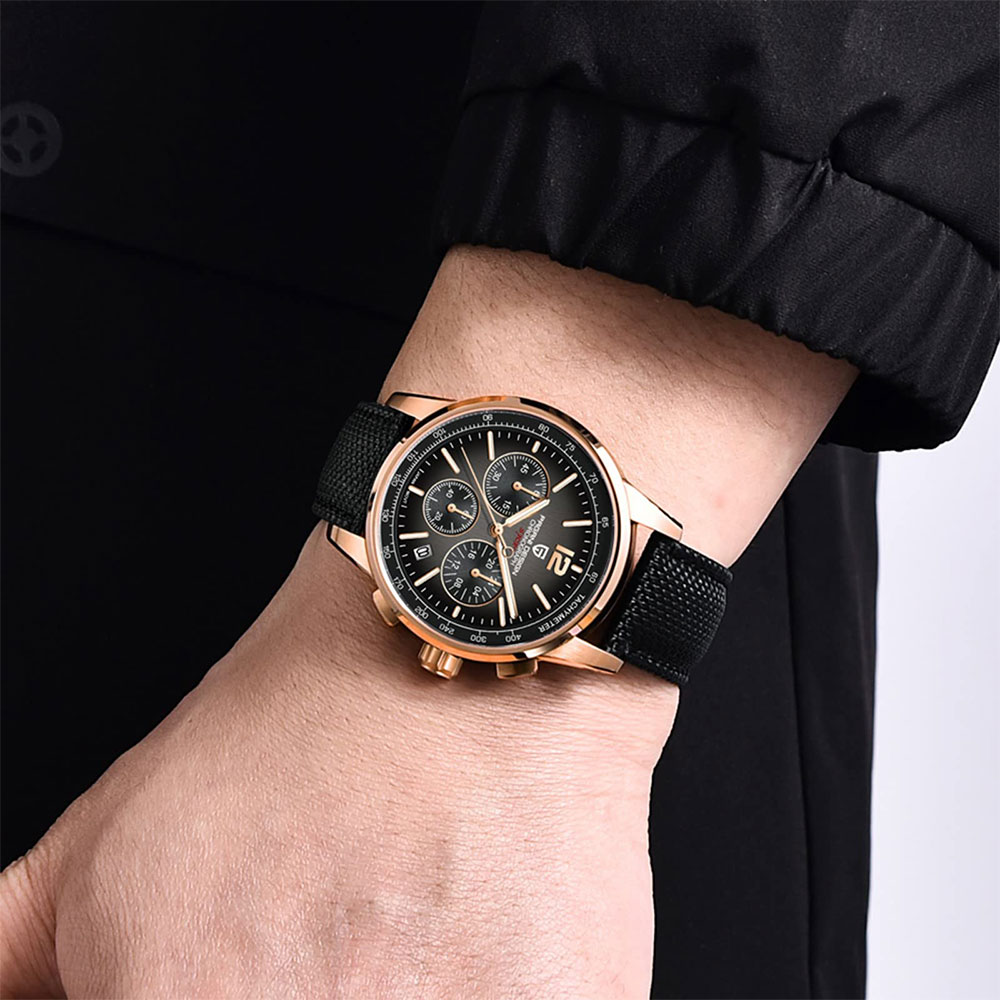 PAGANI DESIGN New Mens Watch 4 - огляд і ціна Luxury Watch Market